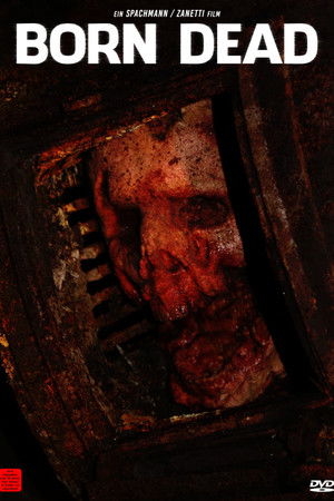 Tnvruyc21bzzjn6wdx7nzdip7dy