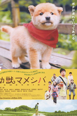 Mameshiba Cubbish Puppy