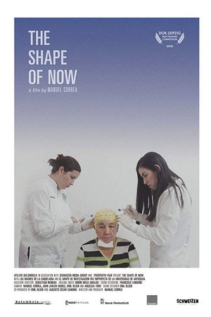 The Shape of Now poster