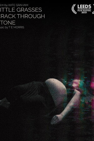 Little Grasses Crack Through Stone poster
