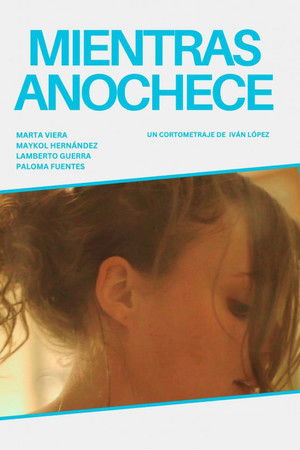 While The Night Falls