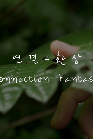 연결-환상