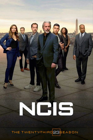 Poster da série NCIS - Temporada 23