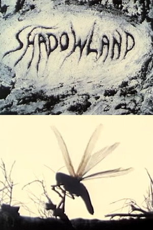 Shadowland poster