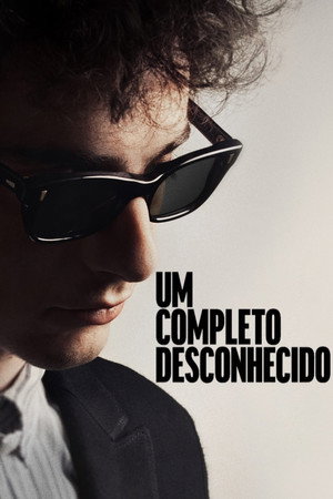Poster do filme Um Completo Desconhecido