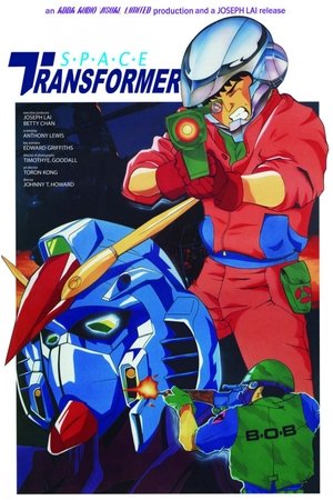 Space Transformer