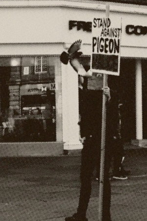 Pigeon Mafia Takes out the Trash poster