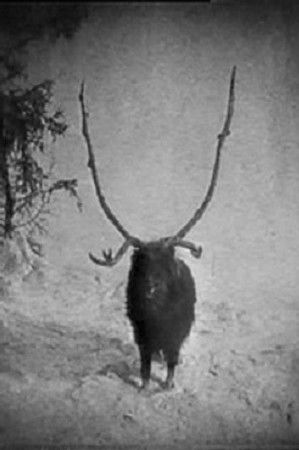 Tztxgzu2dishav38ys1yyuqlqv8