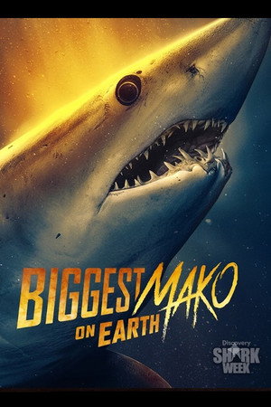 Biggest Mako on Earth