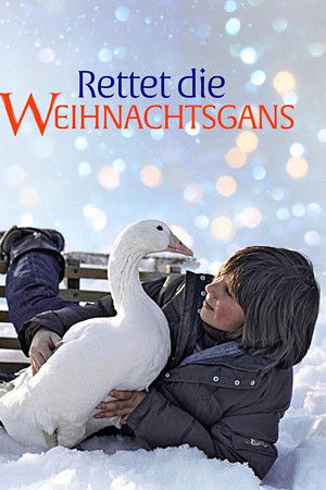 Rettet die Weihnachtsgans