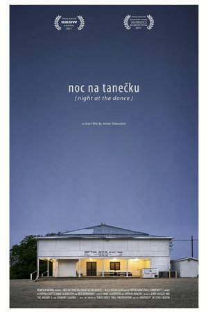 Night at the Dance poster