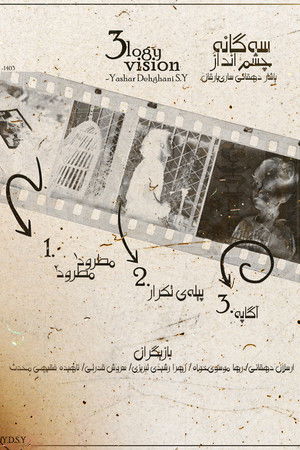 The Trilogy of Vision