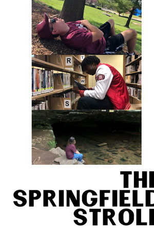 The Springfield Stroll