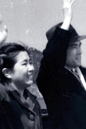 갈매기