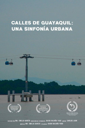 Calles de Guayaquil: Una sinfonía urbana poster