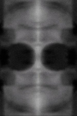 Poster of SW-EGO (v.4)