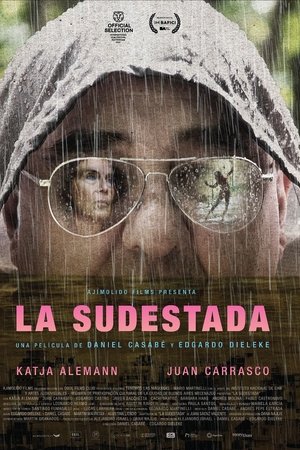 La Sudestada