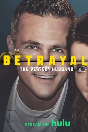 Betrayal : le mari parfait