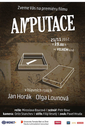 Amputace