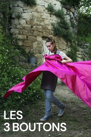 Poster of Les 3 Boutons