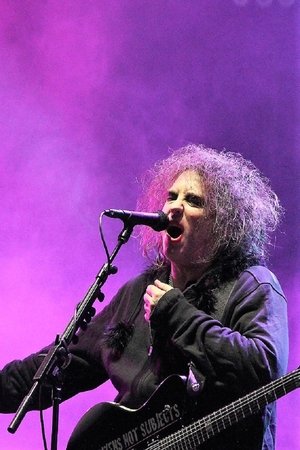 The Cure Aux Viellies Charrues