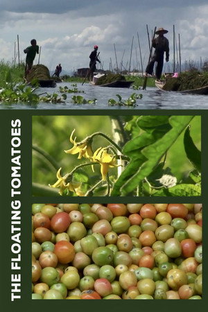 The Floating Tomatoes poster