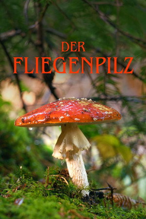 The Fly Agaric poster
