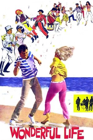 Wonderful Life Wonderful Life