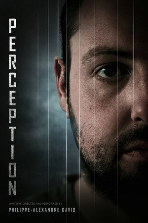 Perception poster