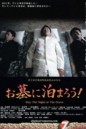 Stay the Night at the Grave