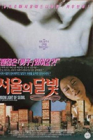 서울의 달빛