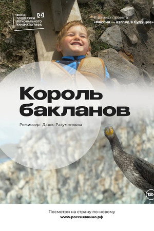 The King of Cormorants poster