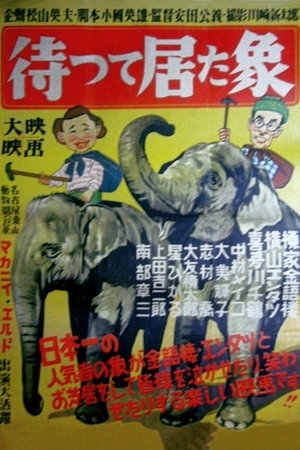待って居た象