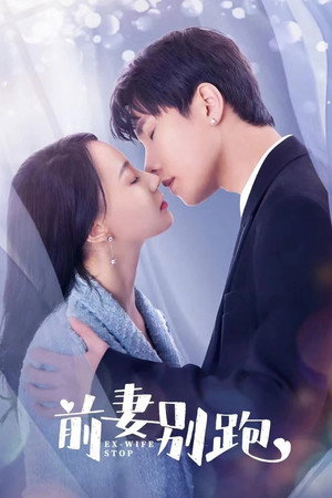 前妻别跑