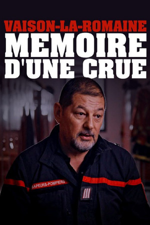 Vaison-la-Romaine, mémoire d'une crue poster