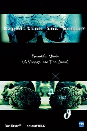 Beautiful Minds - Voyage into the Brain