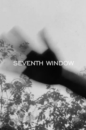 SEVENTH WINDOW poster