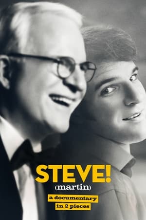 Steve Martin : un documentaire en 2 parties