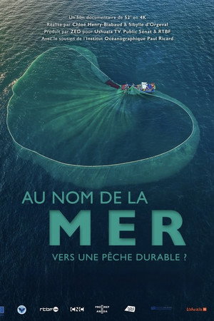 Au nom de la mer : vers une pêche durable ? poster