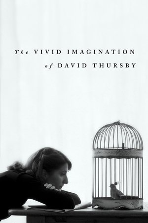 The Vivid Imagination of David Thursby