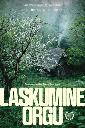 Laskumine orgu