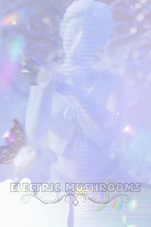 Electric Mushrooms poster