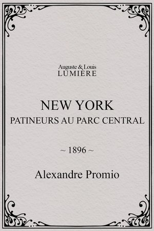 New York, patineurs au Parc central
