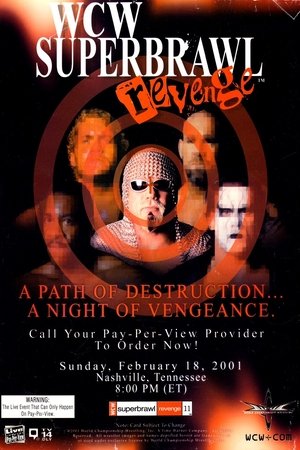 WCW SuperBrawl Revenge