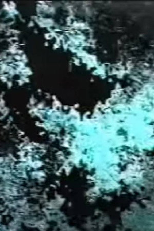 9006 poster