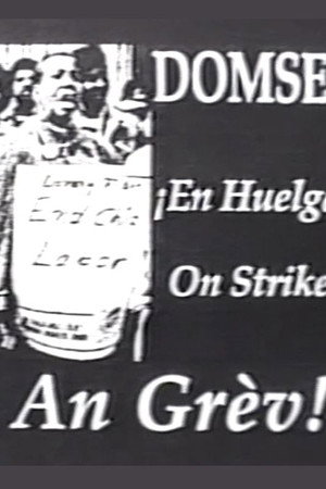 Domsey on Strike poster