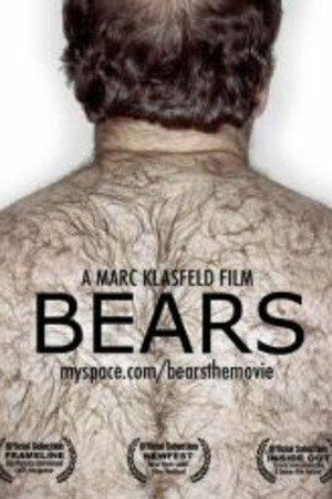 Bears poster