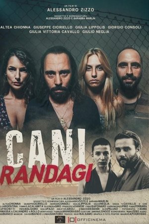 Cani randagi Cani randagi