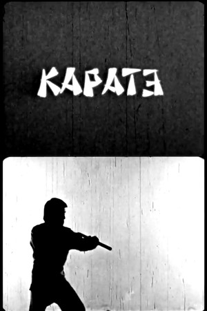 Karate poster