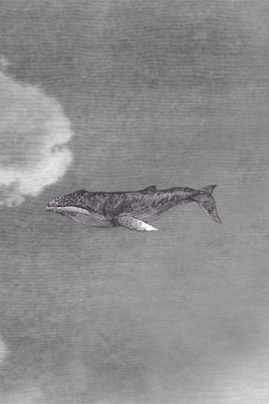 WWW {The Whale Who Wasn't} poster